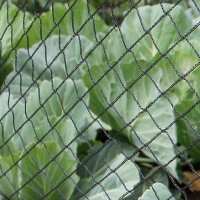 Read Gardening Naturally Reviews