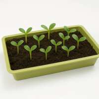 Read Gardening Naturally Reviews