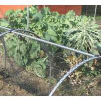 Read Gardening Naturally Reviews