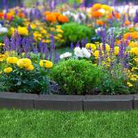 Read Gardening Naturally Reviews
