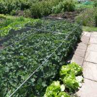 Read Gardening Naturally Reviews