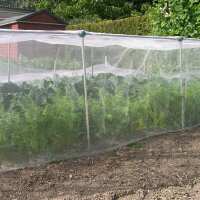 Read Gardening Naturally Reviews