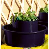 Read Gardening Naturally Reviews