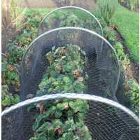 Read Gardening Naturally Reviews