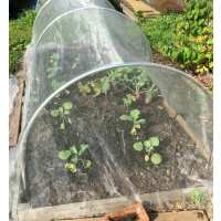 Read Gardening Naturally Reviews