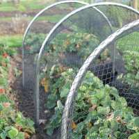 Read Gardening Naturally Reviews