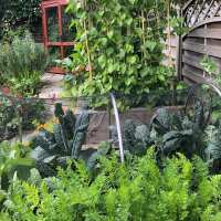 Read Gardening Naturally Reviews