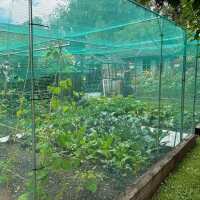 Read Gardening Naturally Reviews