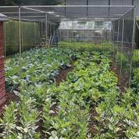 Read Gardening Naturally Reviews