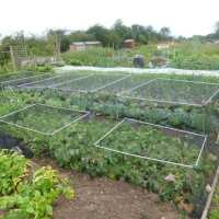 Read Gardening Naturally Reviews