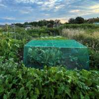 Read Gardening Naturally Reviews
