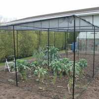 Read Gardening Naturally Reviews