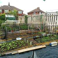 Read Gardening Naturally Reviews