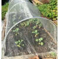 Read Gardening Naturally Reviews