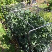 Read Gardening Naturally Reviews
