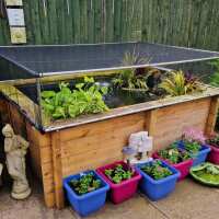 Read Gardening Naturally Reviews