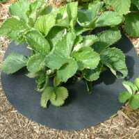 Read Gardening Naturally Reviews