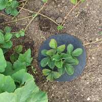Read Gardening Naturally Reviews