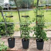 Read Gardening Naturally Reviews