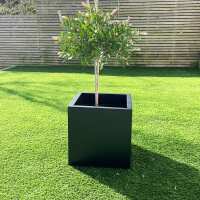Read Gardening Naturally Reviews