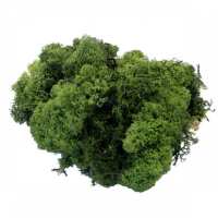 Read Easy Florist Supplies Reviews