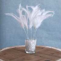 Read Whittingtons Reviews