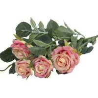 Read Whittingtons Reviews