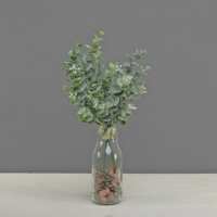 Read Whittingtons Reviews