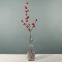 Read Whittingtons Reviews