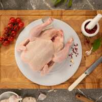 Read Saffron Alley Reviews