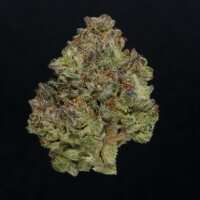 Read Best Buds Premium Cannabis Reviews