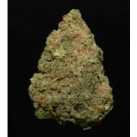 Read Best Buds Premium Cannabis Reviews