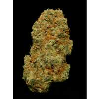 Read Best Buds Premium Cannabis Reviews
