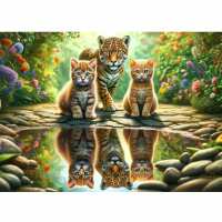 Lezen De Diamond Painter Reviews