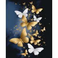 Lezen De Diamond Painter Reviews