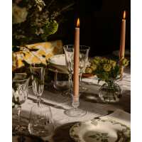 Read Rebecca Udall Reviews