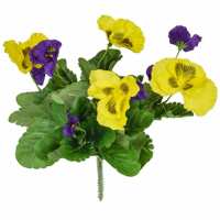 Read Outdoor Living Reviews