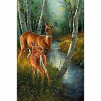 Lezen Happy Painting Reviews