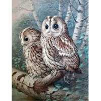 Lezen Diamond Painting Expert Reviews