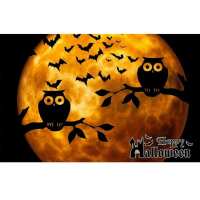 Lezen Diamond Painting Expert Reviews