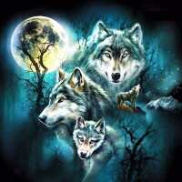 Read Happy Diamond Painting Denmark Reviews