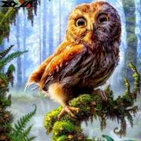 Read Happy Diamond Painting Denmark Reviews