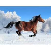 Les Happy Diamond Painting Norge omtaler