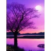 Les Happy Diamond Painting Norge omtaler