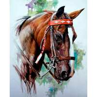 Read Diamond Painting Suomi Reviews