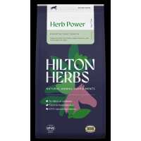 Read Just Horse Riders Reviews