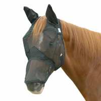 Read Just Horse Riders Reviews
