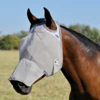 Read Just Horse Riders Reviews