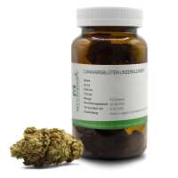 Lesen Mycannabis Bewertungen