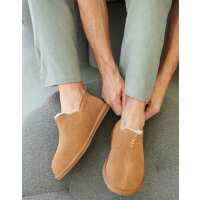 Read British Boxers Reviews